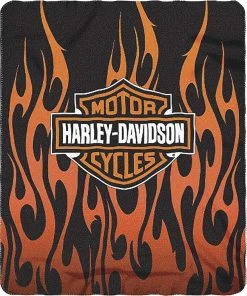 The Northwest Company HARLEY DAVIDSON FLAMES LOGO